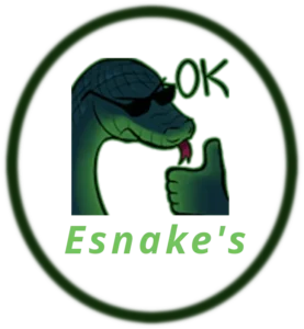 Muchacho de serpiente con gafas de sol haciendo signo de aprobación, logotipo de Esnake555 con texto en verde y definición de estilo modernista.