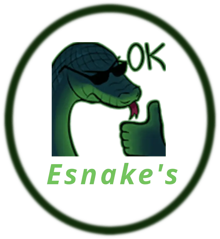 Muchacho de serpiente con gafas de sol haciendo signo de aprobación, logotipo de Esnake555 con texto en verde y definición de estilo modernista.